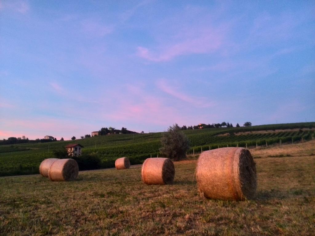 Apartament I Boidi Nizza Monferrato Zewnętrze zdjęcie